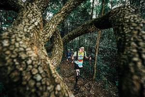 BIB: 
                            <button type="button" onclick="openModal(25393325)" class="btn btn-primary btn-sm float-right btn-popup" data-toggle="modal" data-target=".modal-high-quality">
                        <i class="fas fa-shopping-cart"></i> Add to Cart
                    </button>
                                            <button type="button" onclick="isThisMe(25393325, true)" class="btn btn-success btn-sm float-right btn-popup btn-isme hidden" data-toggle="tooltip" data-placement="bottom" title="นี่คือรูปของคุณใช่ไหม คลิกที่นี่เพื่อเอาเข้าอัลบั้ม">
                        <i class="fas fa-plus"></i> Add to album
                    </button>
                    <button type="button" onclick="isThisMe(25393325, false)" class="btn btn-warning btn-sm float-right btn-popup btn-isnotme hidden">
                        <i class="fas fa-ban"></i> Remove from album
                    </button>